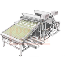 Graduador automático do camarão da máquina de classificação do camarão de 18 rolos