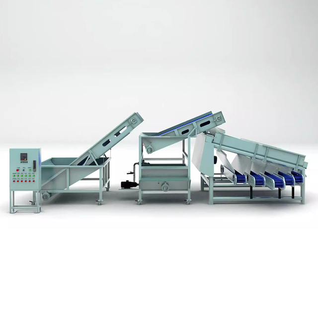 Quais são as etapas do processamento de frutos do mar?